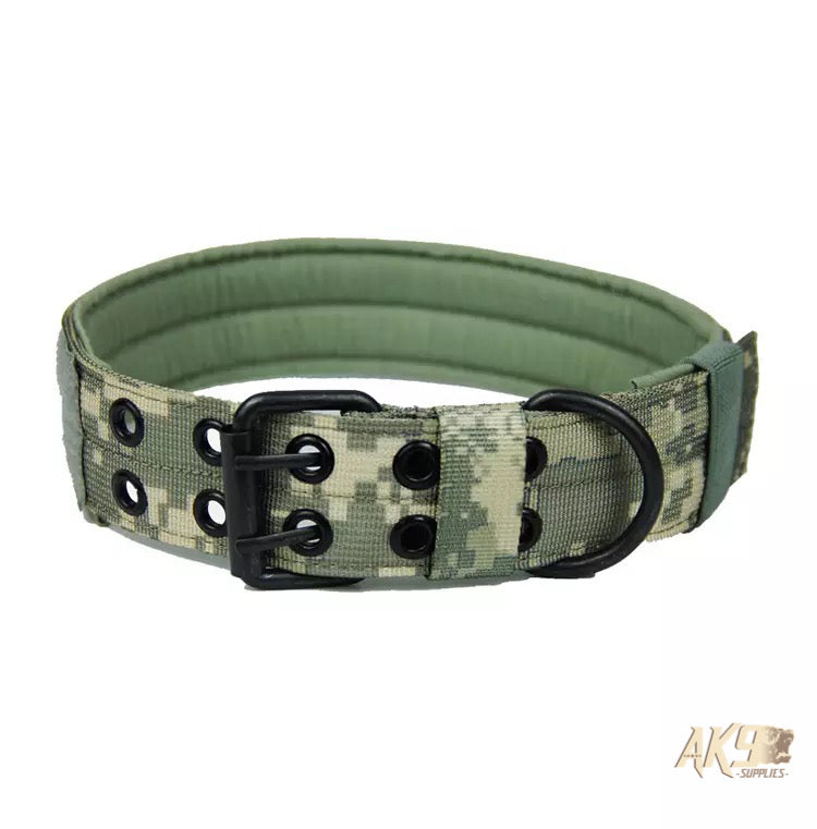 2 inch Working Dog Collar - Military Edition - Camo