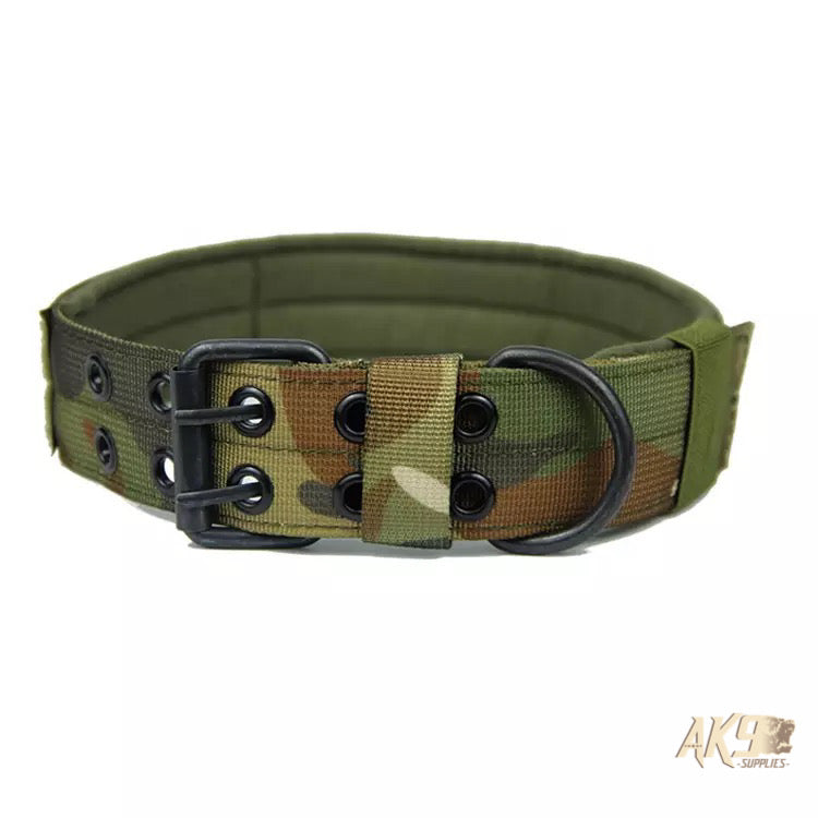 2 inch Working Dog Collar - Military Edition -  Jungle Camo
